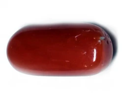 Red Coral (Munga)